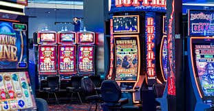 betdog slot
