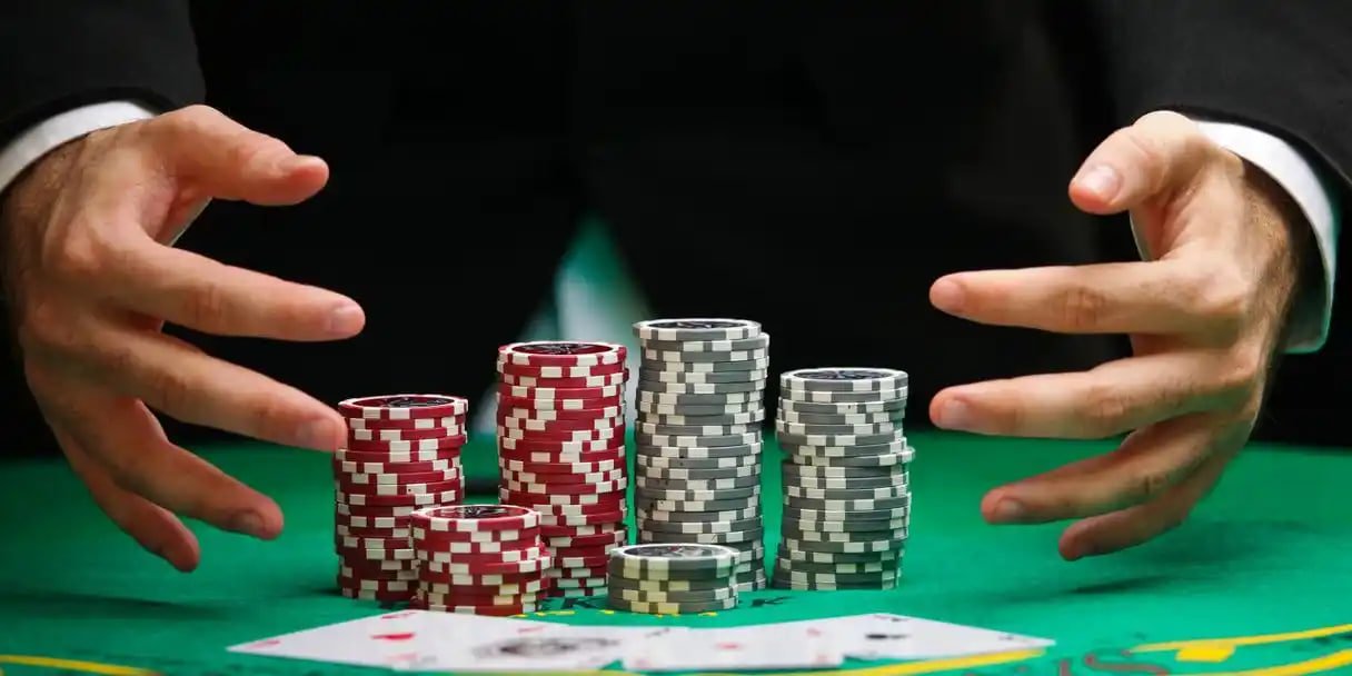 betdog slot