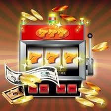 betdog slot