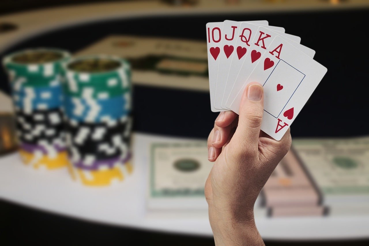 betdog slot